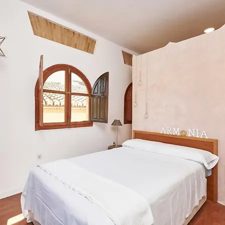 Enjoygranada Duplex Centro Con Terraza דירה